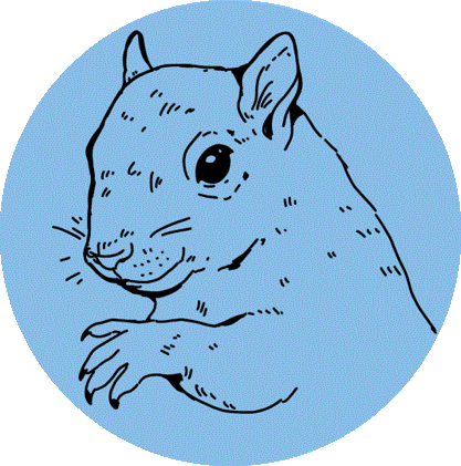 Assessment, Rescue, and Intake of Wild Small Mammals