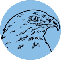 Advanced Raptor Rehabilitation