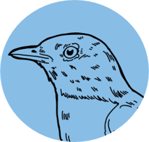 Advanced Songbird Rehabilitation