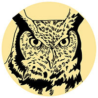 All About Owls