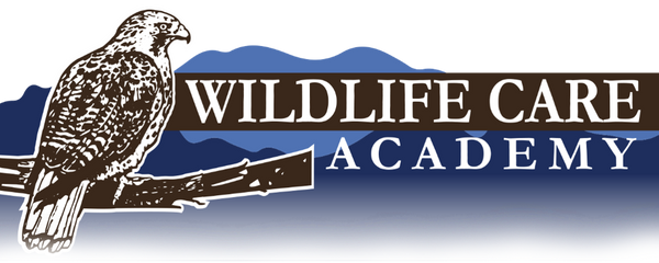 Wildlife Care Academy